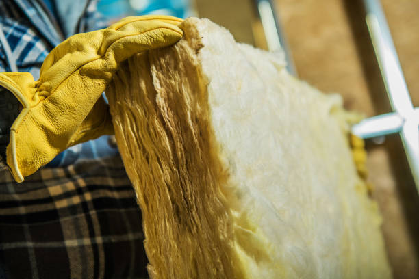Best Cellulose Insulation  in Kamiah, ID